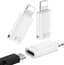 Audio-adapter USB-C naar Lightning voor iPhone, 3 stuks, geschikt voor DJI Mic Mini