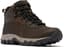 Columbia NEWTON RIDGE PLUS II WATERPROOF Heren Wandelschoenen - Cordovan, Squash